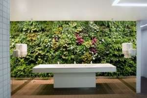Greenery in office 3