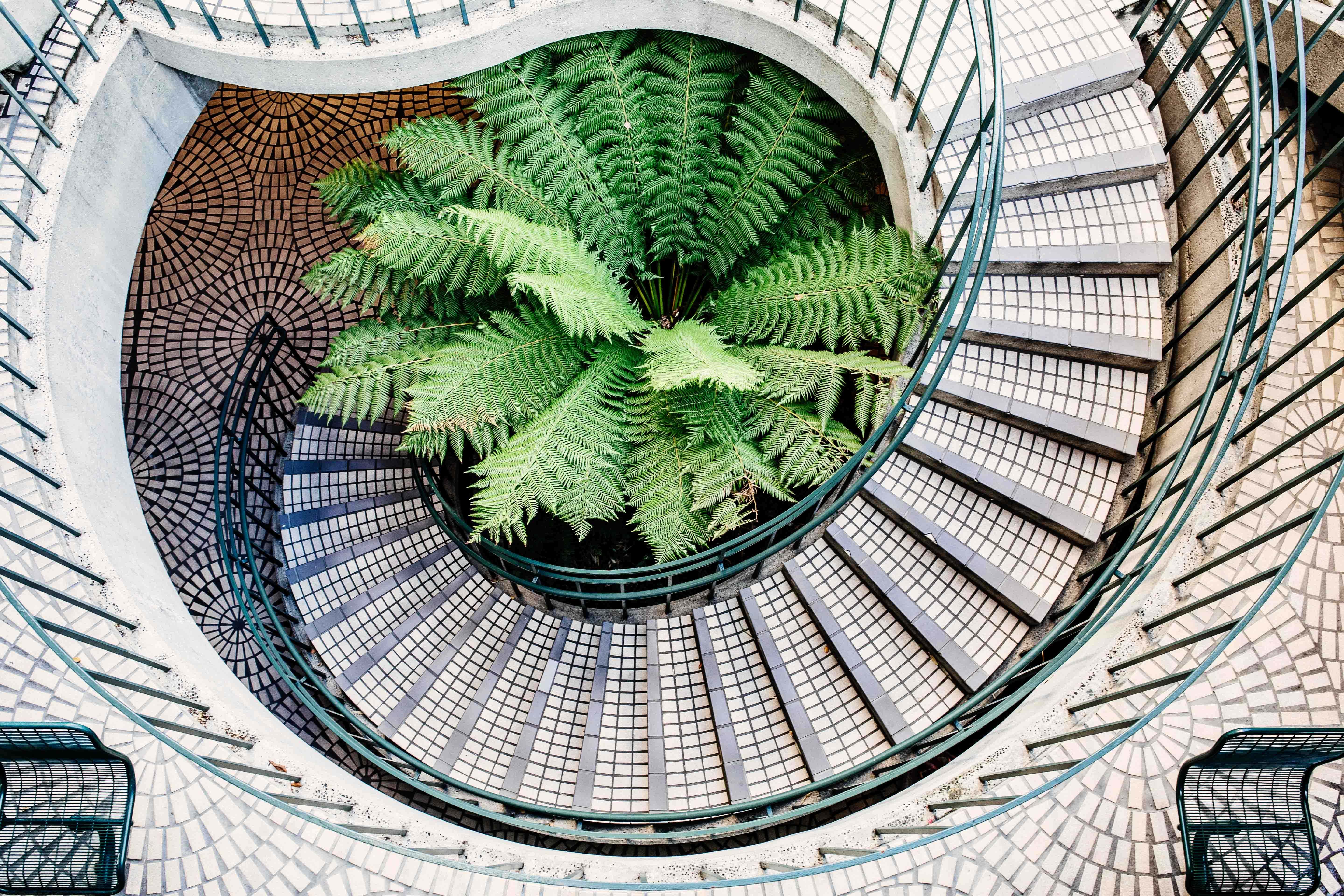 biophilic office