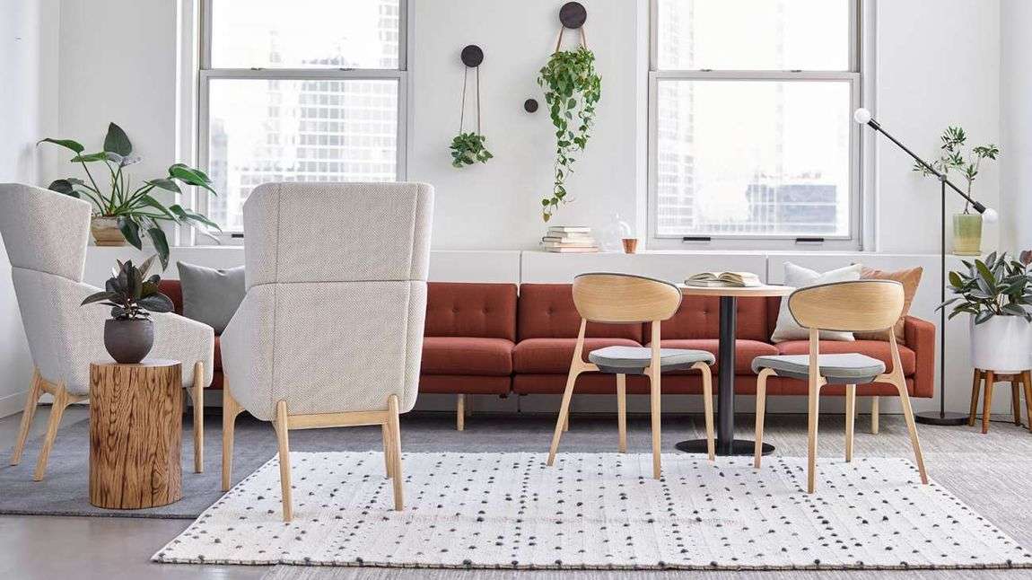 Cool modern office with plants.