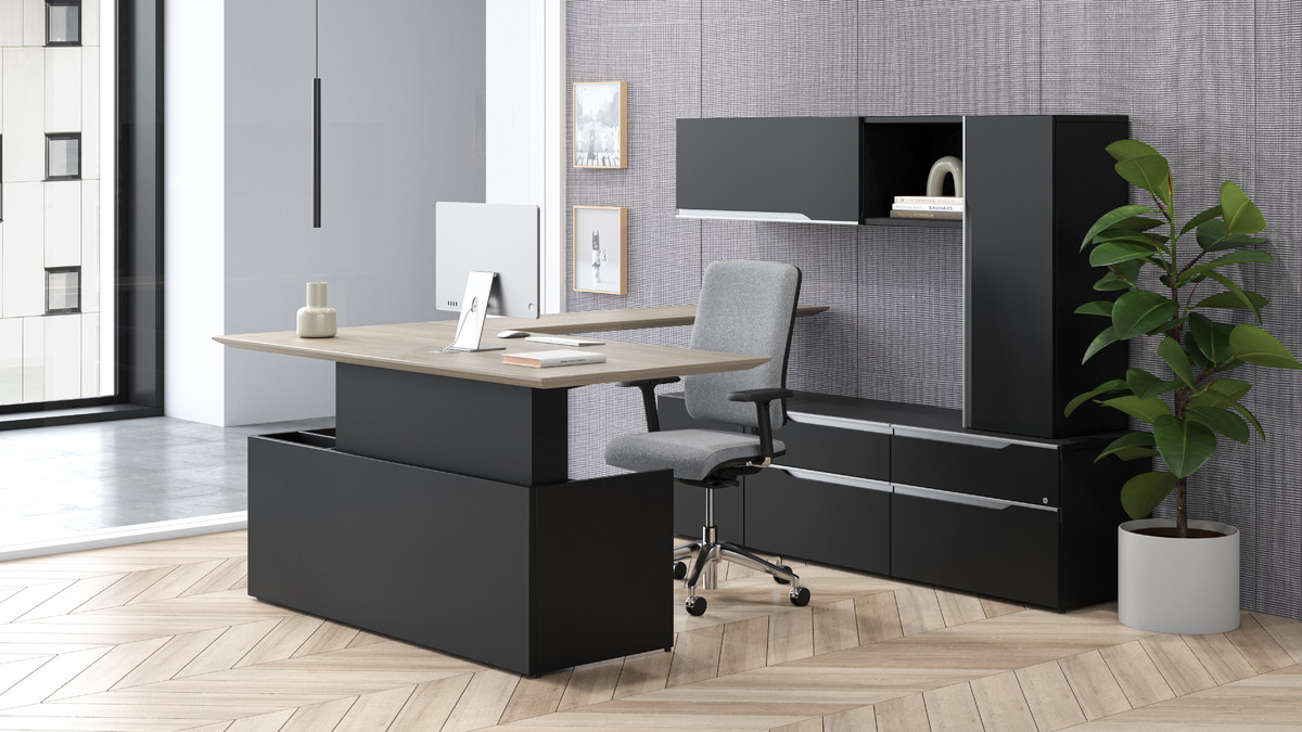 biophilics with a modern adjustable height desk for a work from home remote office