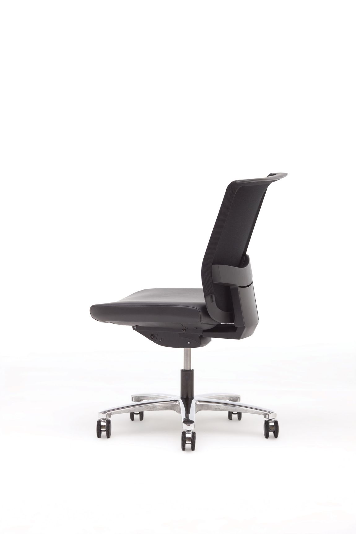Product 36262
