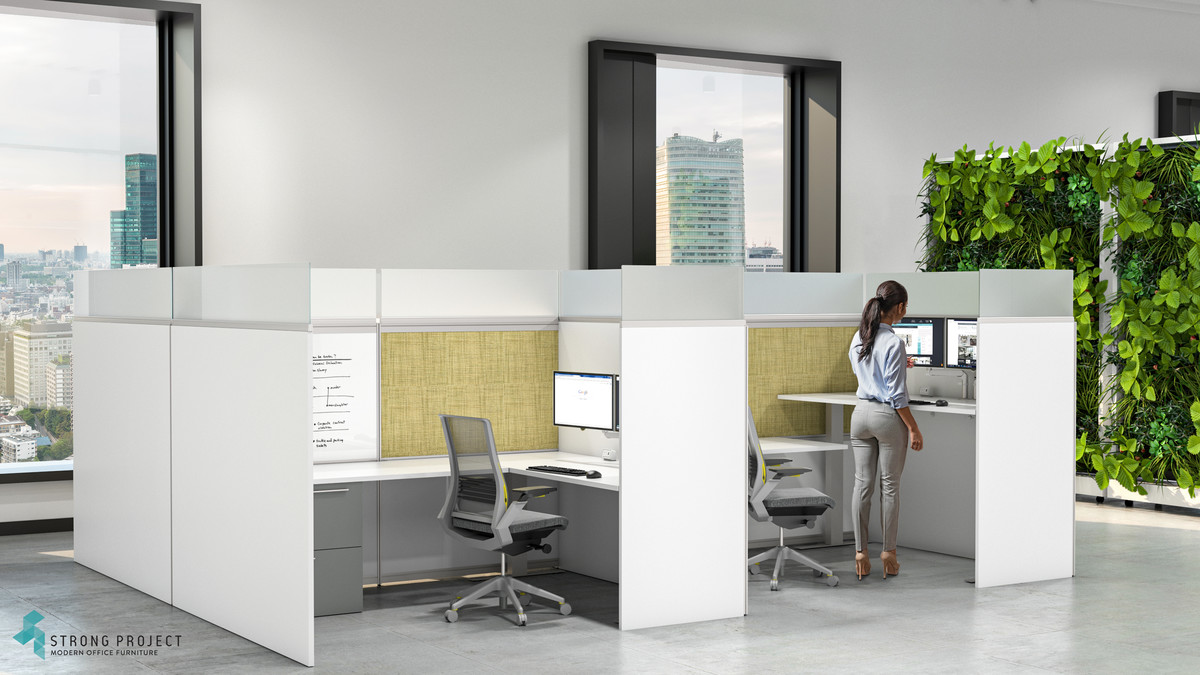 Product 50427