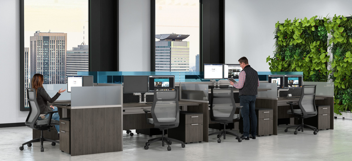 Product 51872