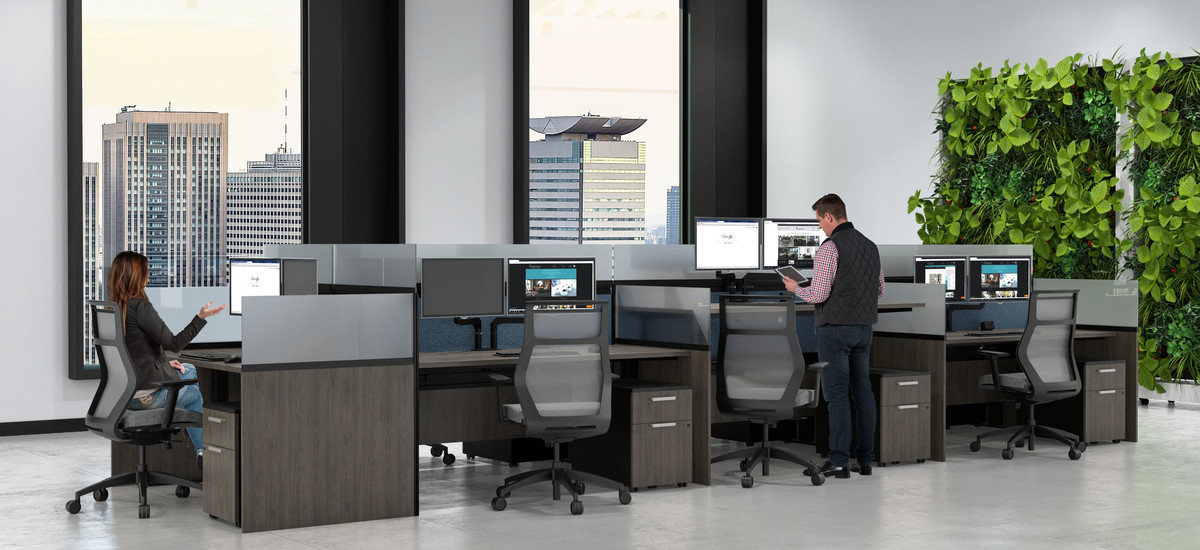 Product 51875