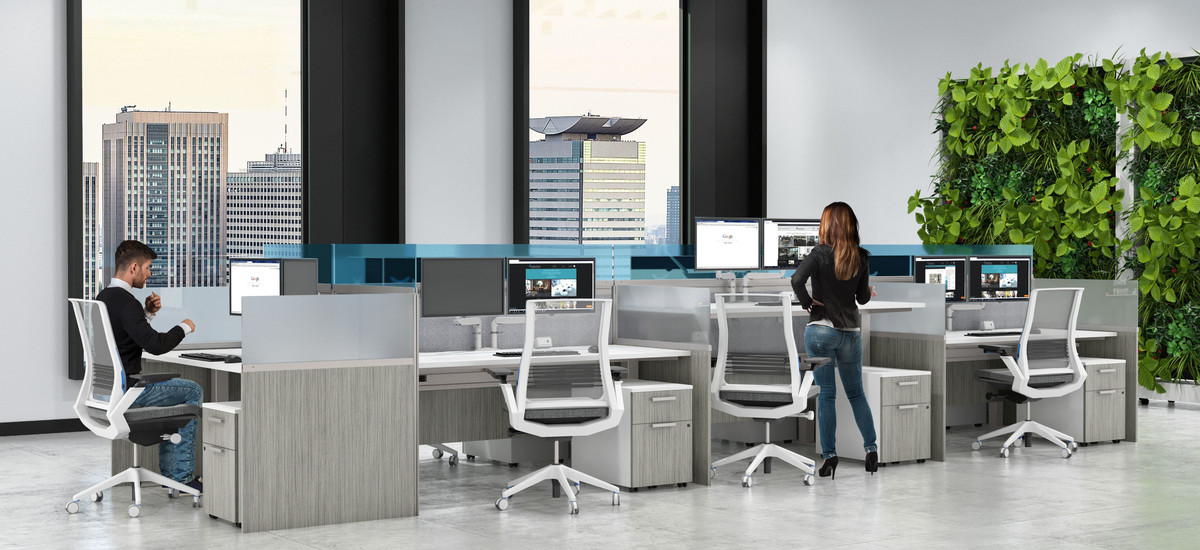 Product 51877