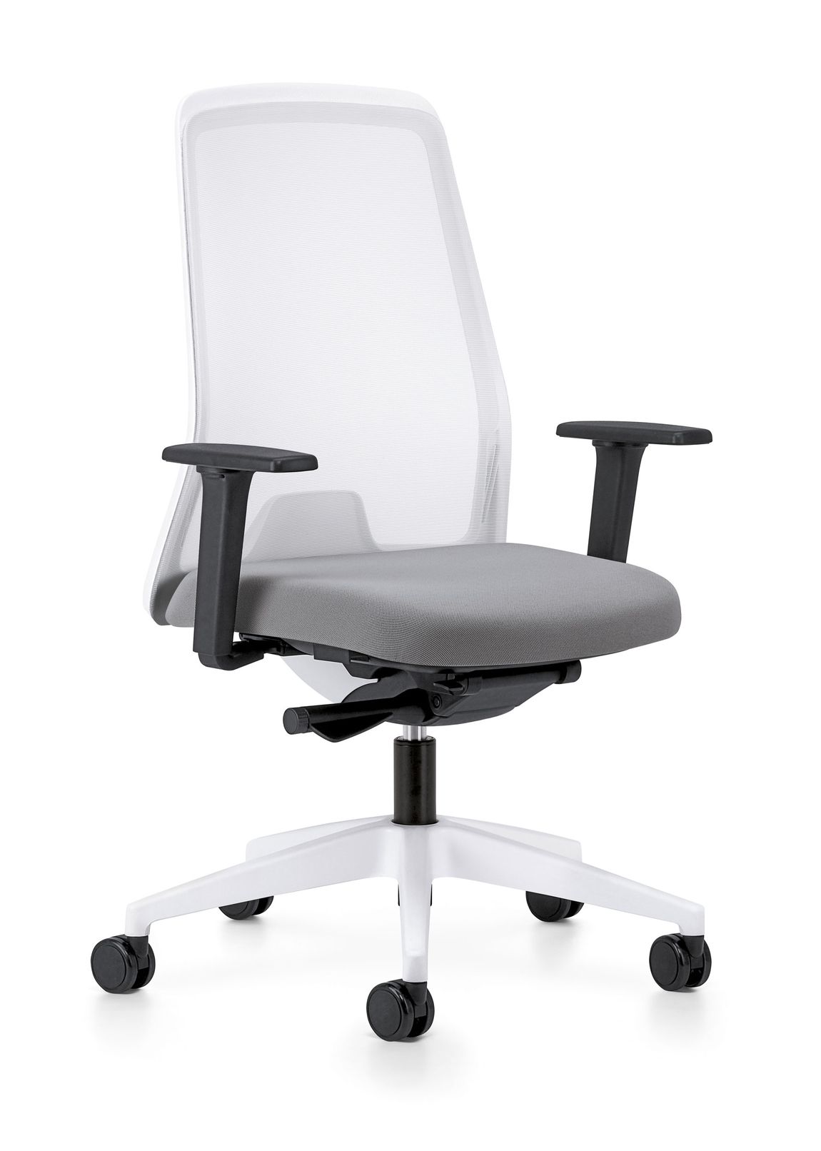 Product 36679