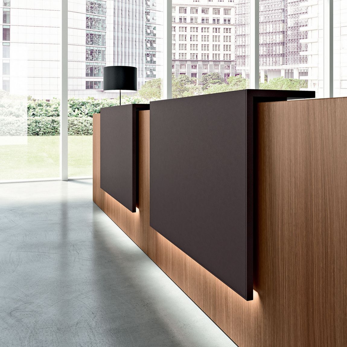 Product 41538