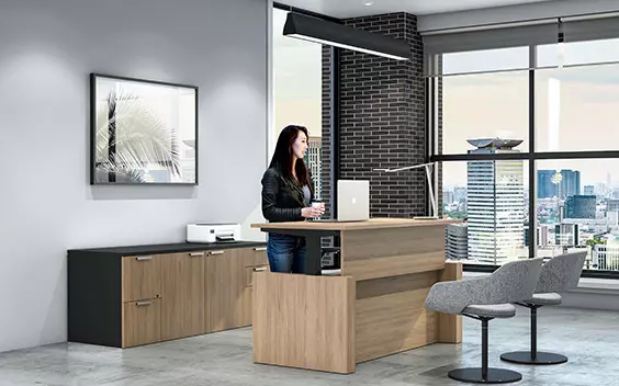 Modern Standing Desks